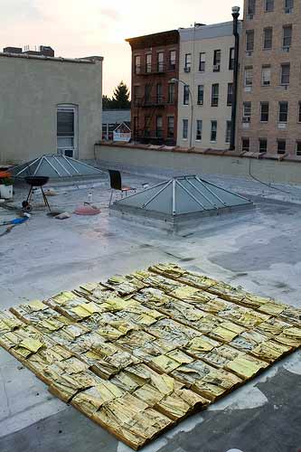 NURTUREart Roof Gunter Puller